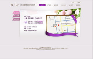 融合傳統與創新 現代月餅食品行業網站設計指南